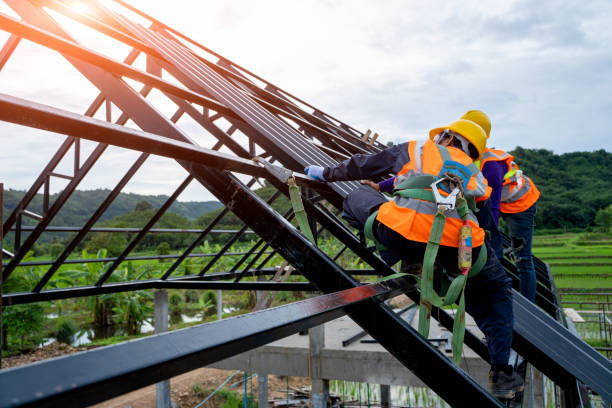 Roof Gutter Cleaning in Tehachapi, CA